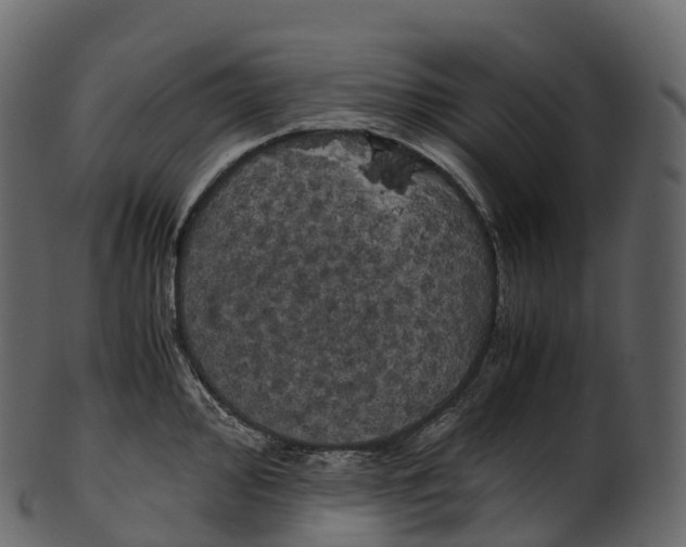 X0000100491000200807031912