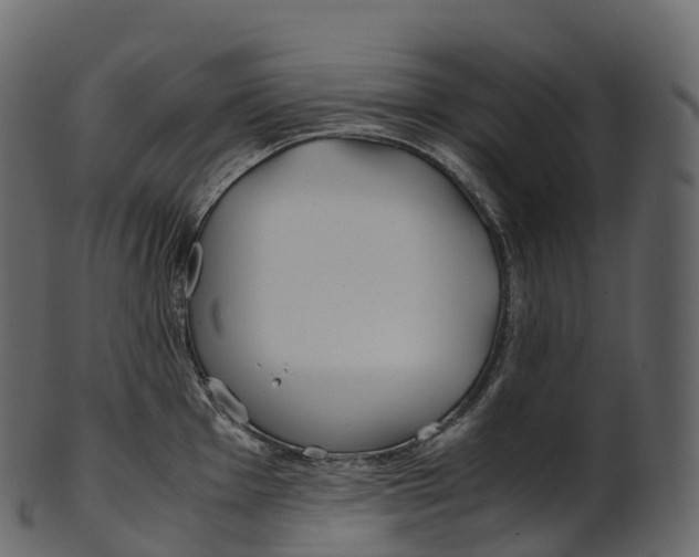 X0000100491001200807031912