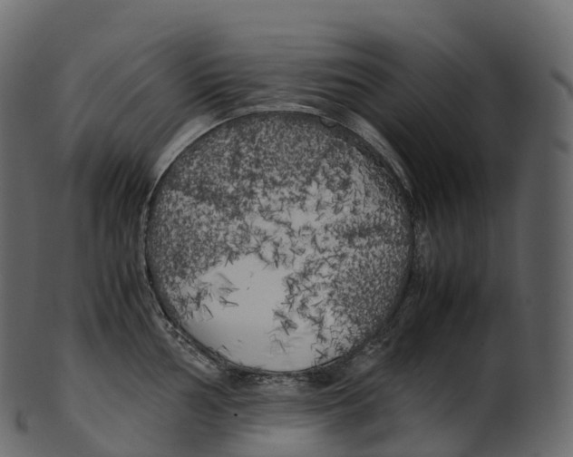 X0000100491002200807031912