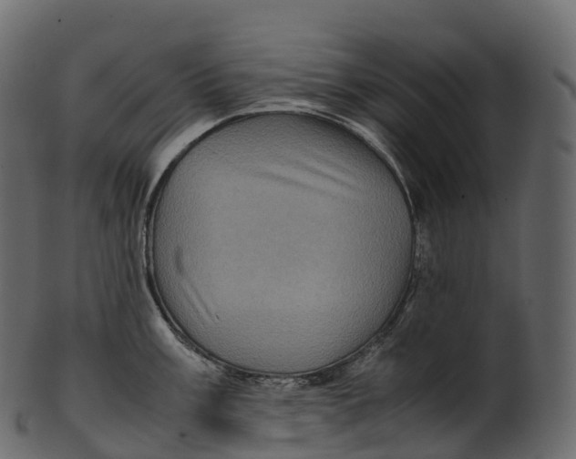 X0000100491003200807031912