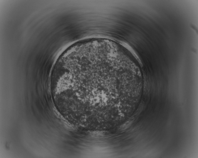 X0000100491004200807031912