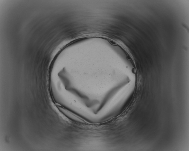 X0000100491005200807031911