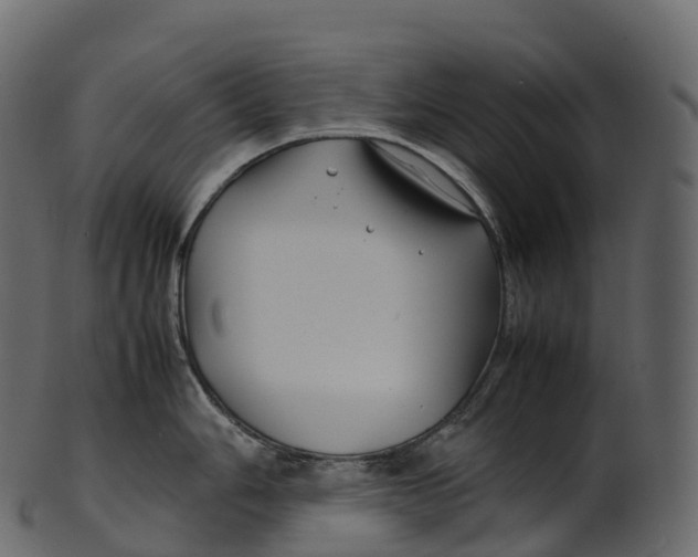 X0000100491006200807031911