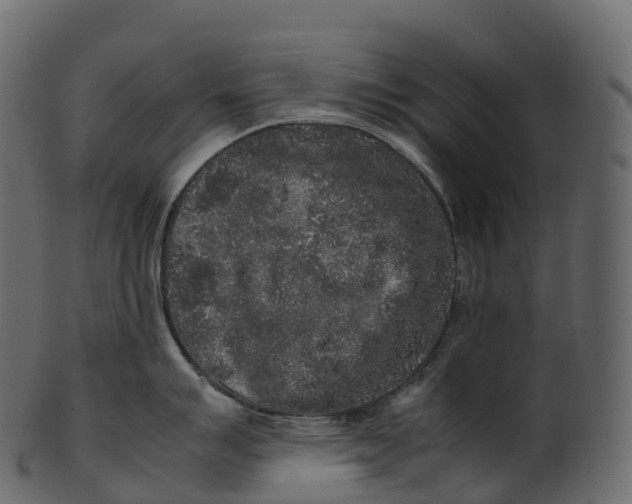 X0000100491007200807031911