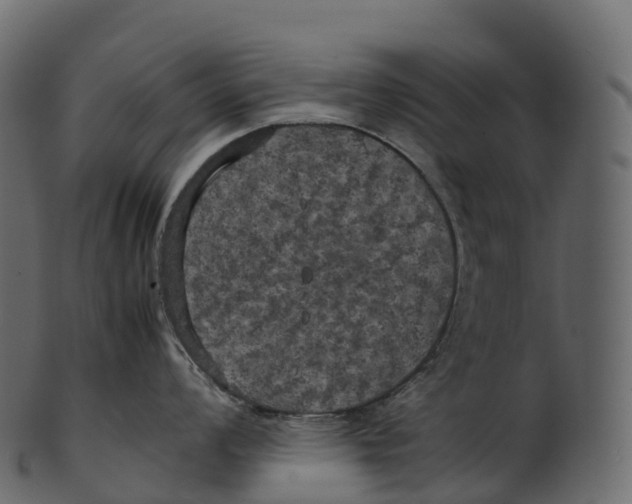 X0000100491008200807031911