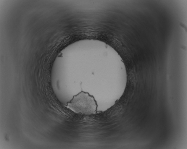 X0000100491009200807031911