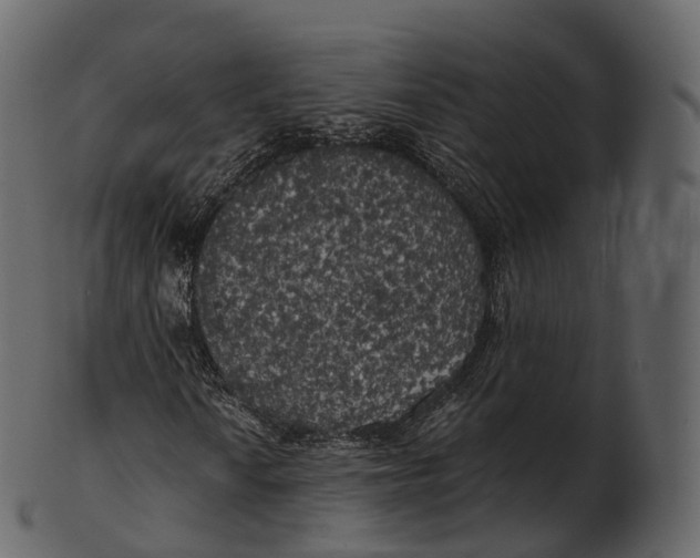 X0000100491010200807031911