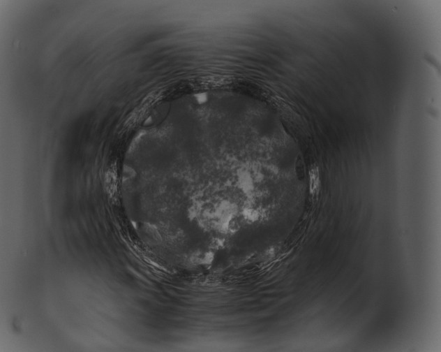 X0000100491011200807031911