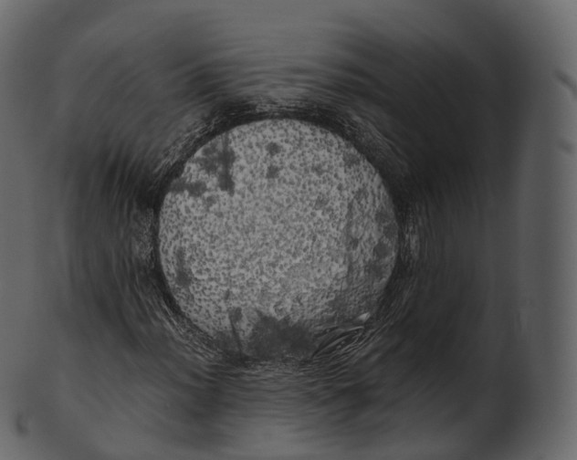 X0000100491012200807031911