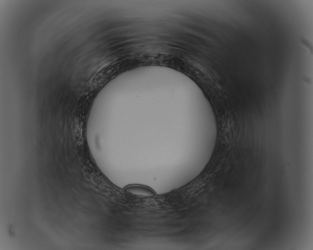 X0000100491013200807031911