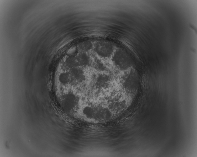 X0000100491015200807031911