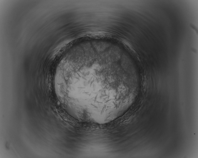 X0000100491016200807031911