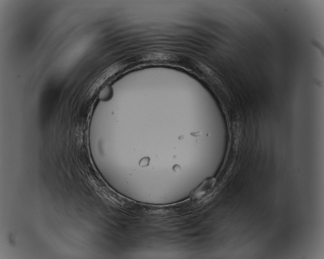 X0000100491017200807031911