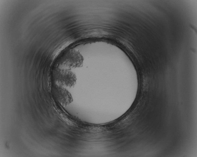 X0000100491018200807031911