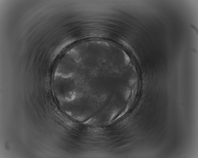 X0000100491019200807031911