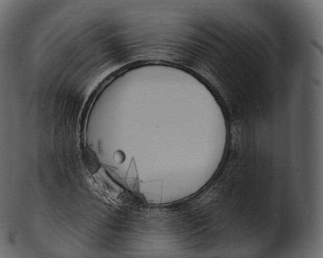 X0000100491020200807031911