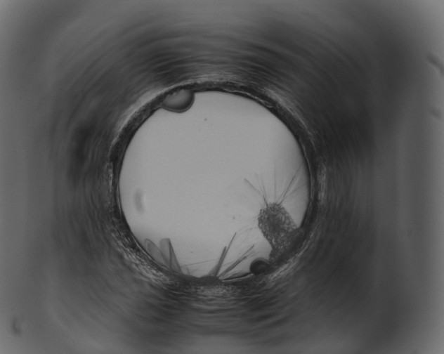 X0000100491021200807031911