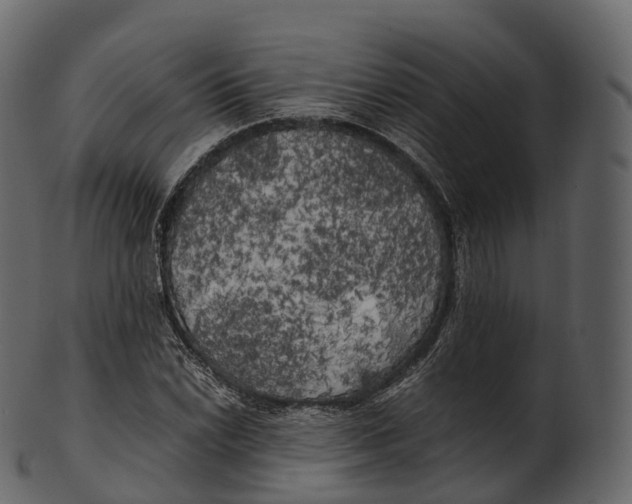 X0000100491022200807031911