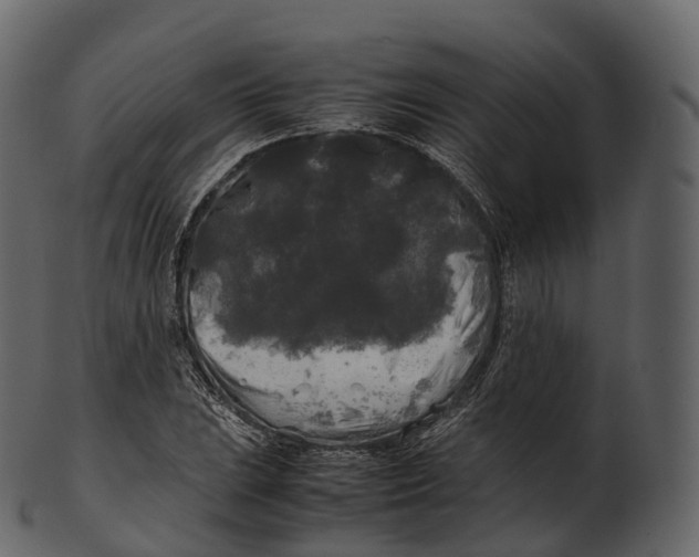 X0000100491023200807031911