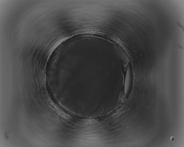 X0000100491024200807031911