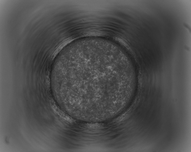 X0000100491025200807031911