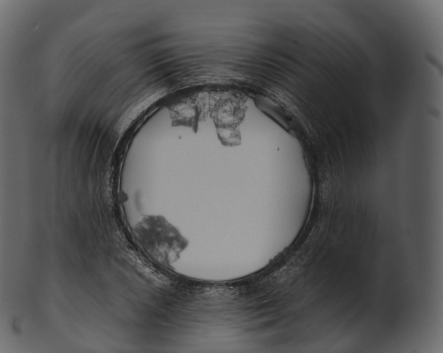 X0000100491026200807031911