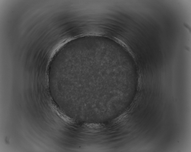 X0000100491027200807031911