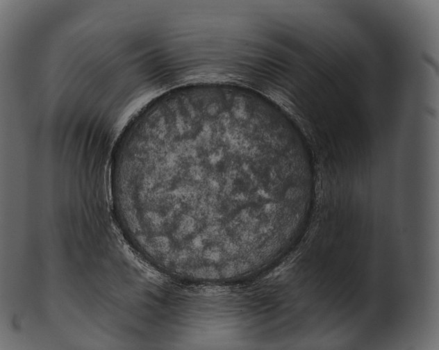 X0000100491030200807031911