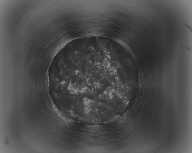 X0000100491031200807031911