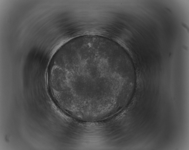 X0000100491032200807031911