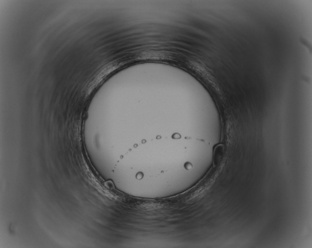 X0000100491033200807031911