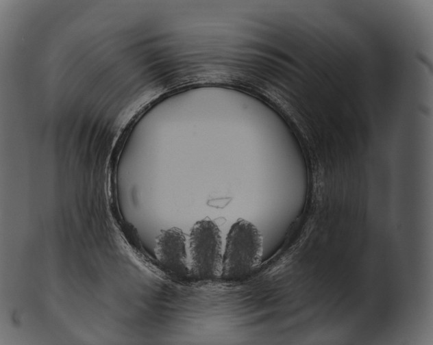 X0000100491034200807031911