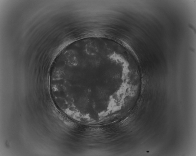 X0000100491035200807031911