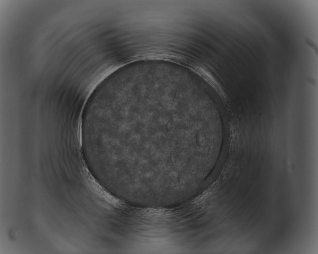 X0000100491036200807031911