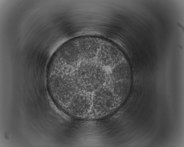 X0000100491038200807031911