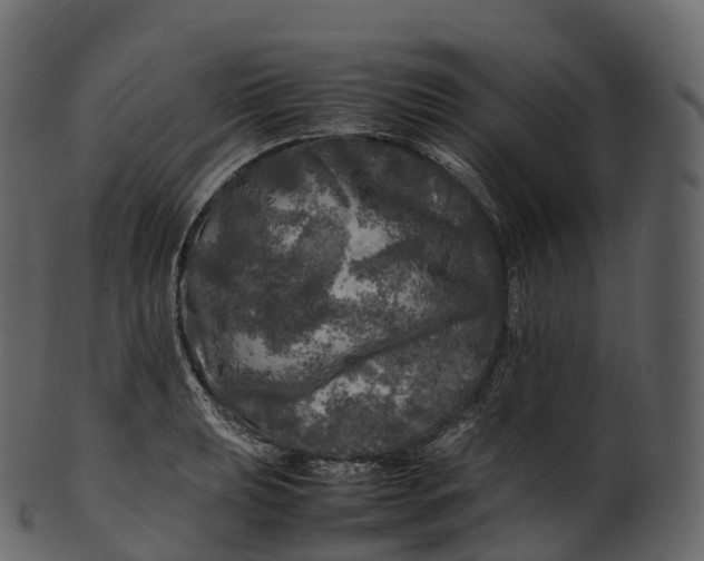 X0000100491039200807031911