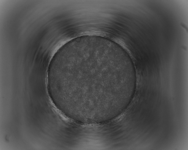 X0000100491040200807031911