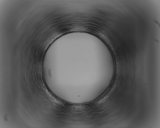 X0000100491041200807031911