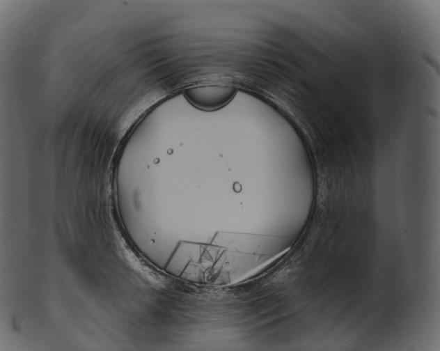 X0000100491042200807031911