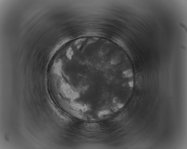 X0000100491043200807031911