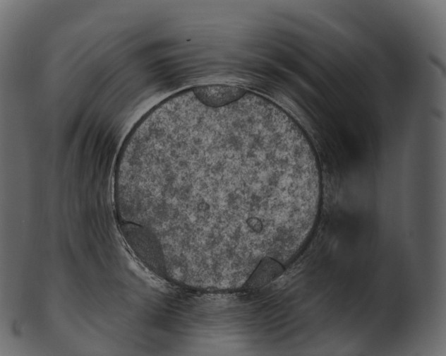 X0000100491044200807031911