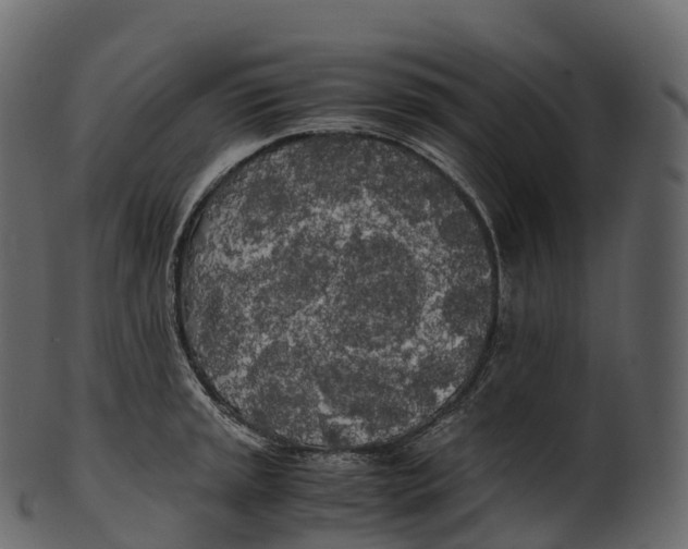 X0000100491045200807031911