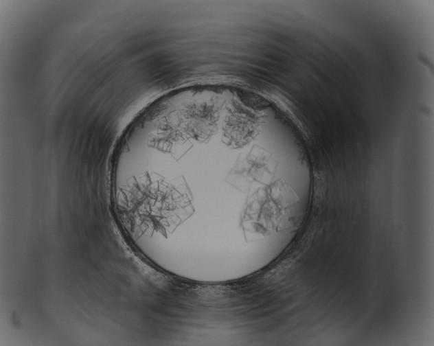 X0000100491046200807031911