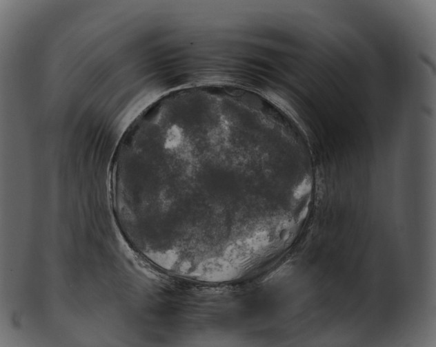 X0000100491047200807031911