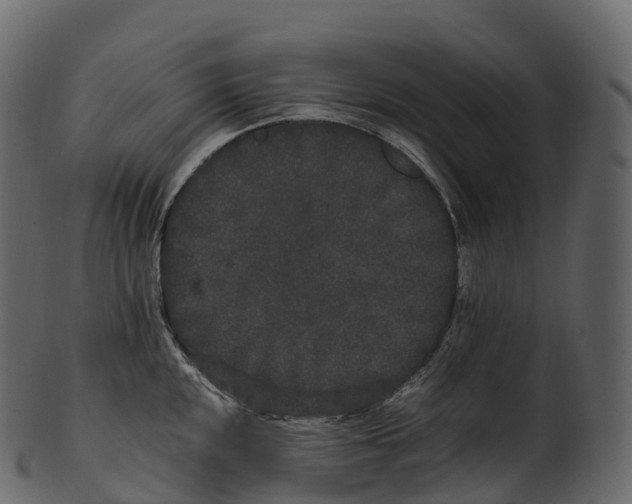 X0000100491048200807031911