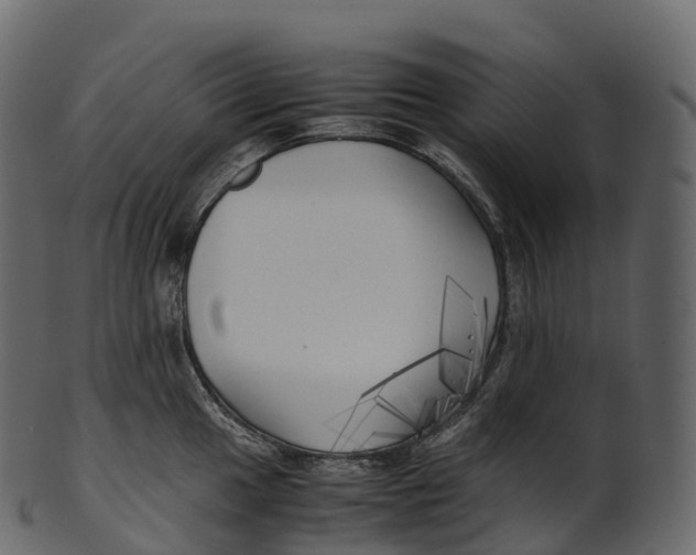 X0000100491049200807031911