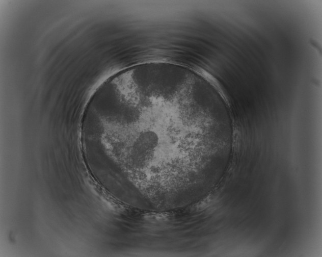 X0000100491051200807031911