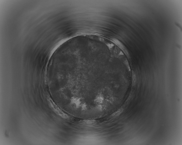 X0000100491052200807031911