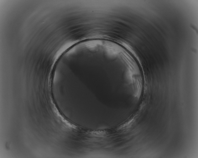 X0000100491053200807031911