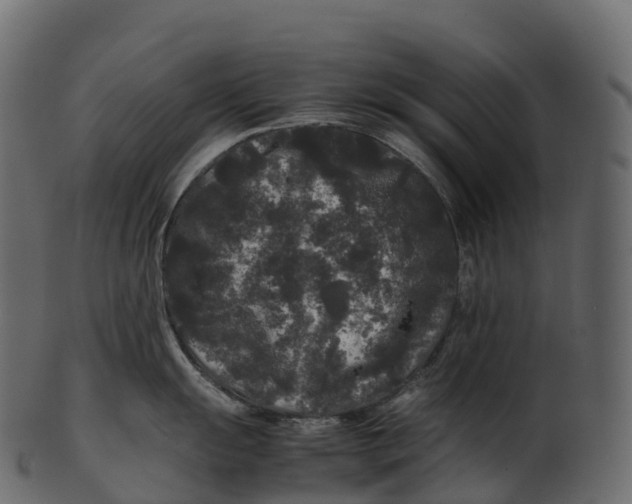 X0000100491055200807031911